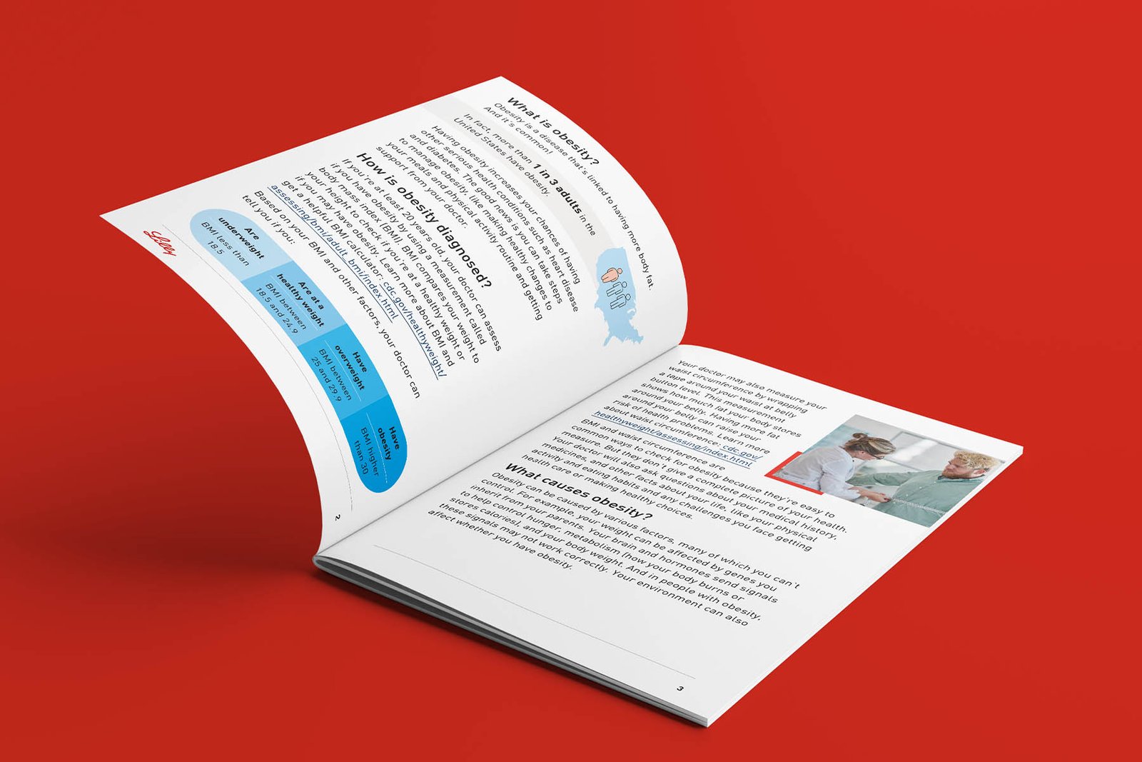 Making Obesity Education Easier to Navigate: project artwork 2 of 3